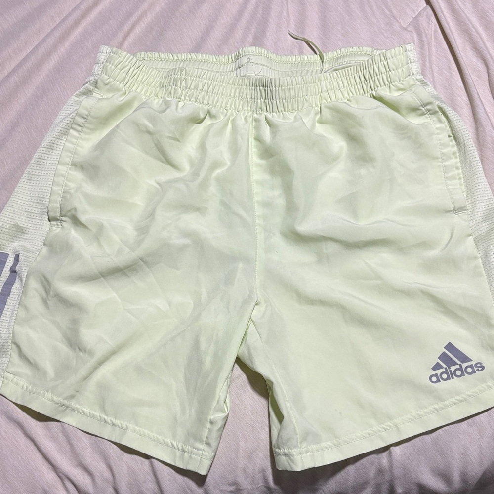 Adidas Men's Pastel Green Athletic Shorts Size L